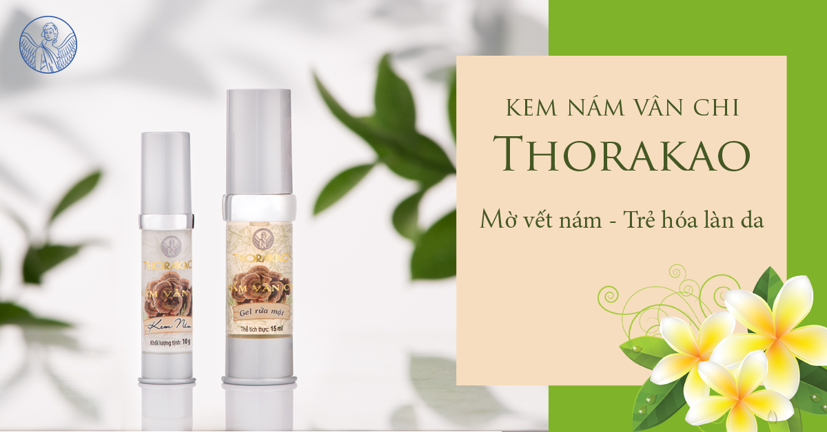 Bộ sản phẩm nấm vân chi - Thorakao