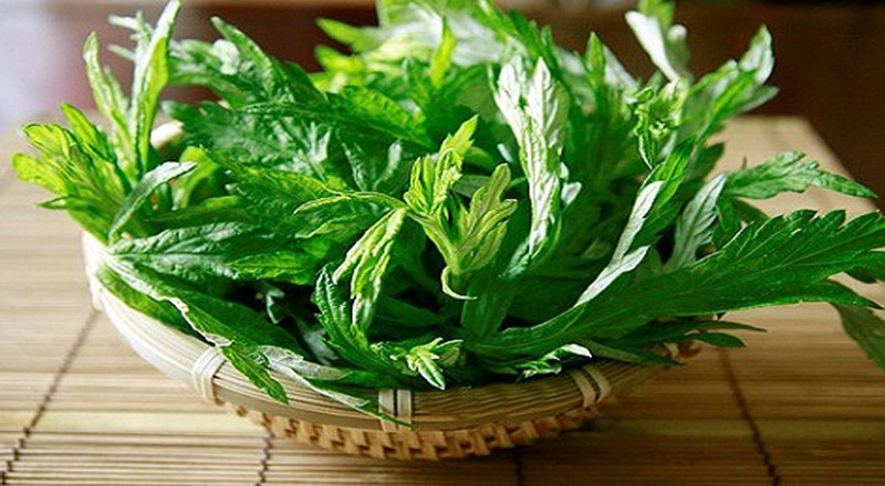 Ngải cứu - Chăm sóc tuyệt vời cho sắc đẹp