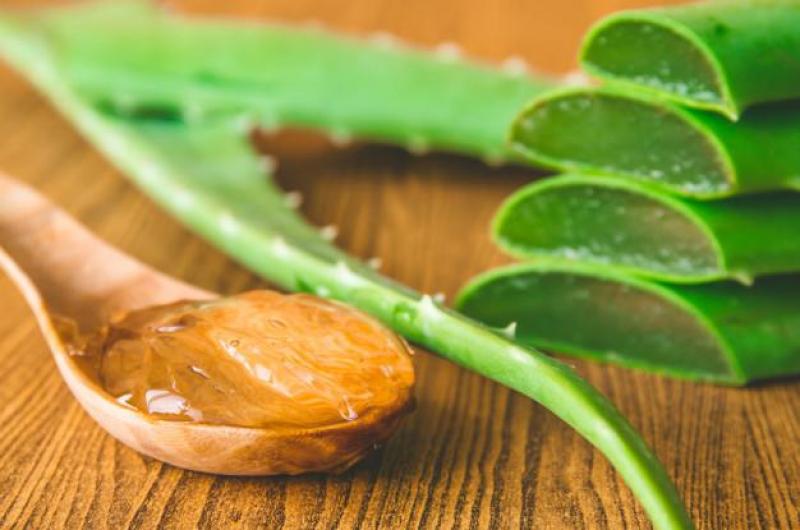 Nha đam - Mỹ phẩm thiên nhiên tuyệt vời