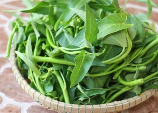 Rau muống - Mỹ phẩm thiên nhiên tuyệt vời