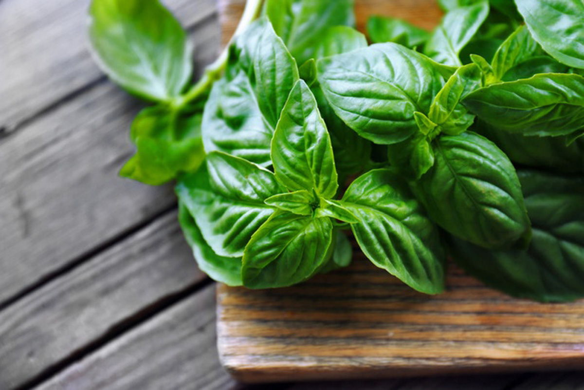 Rau quế - Mỹ phẩm thiên nhiên tuyệt vời