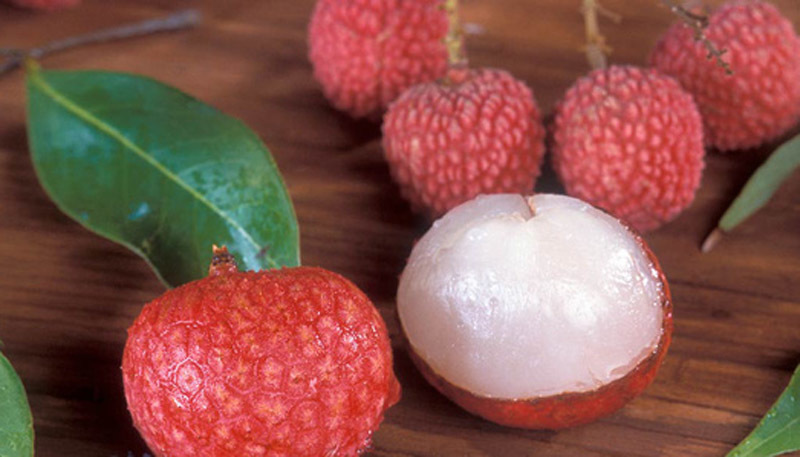 Trái vải