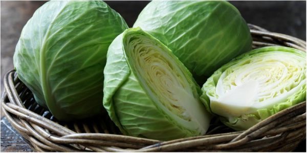 Mỹ phẩm thiên nhiên từ bắp cải