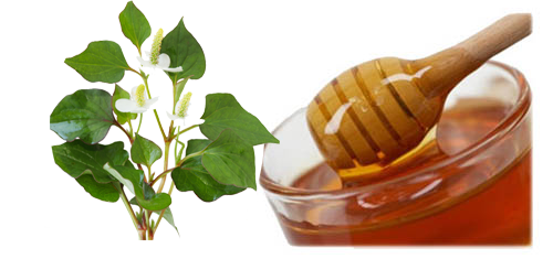 Rau dấp cá và mật ong - Công thức trị mụn tuyệt vời