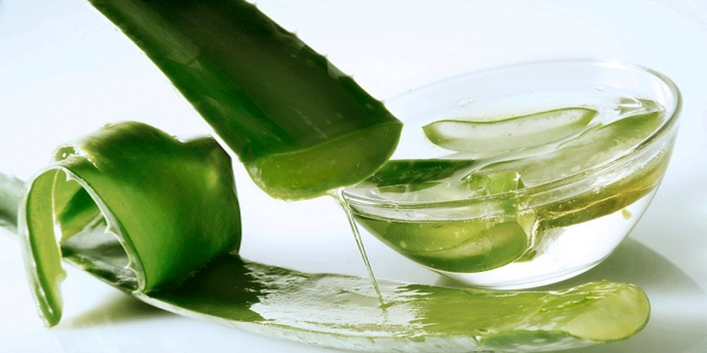 Một nhánh nha đam mỗi tuần - Công thức bất bại dưỡng tóc tóc khỏe đẹp
