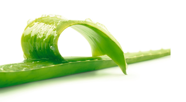 cosmetica-con-aloe-vera-de-yves-rocherr