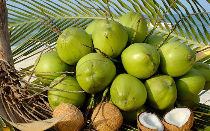 mỹ phẩm thiên nhiên