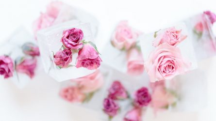 Mỹ phẩm thiên nhiên từ đá lạnh