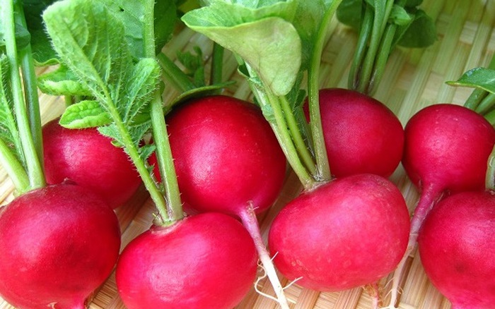 mỹ phẩm thiên nhiên từ củ cải đường