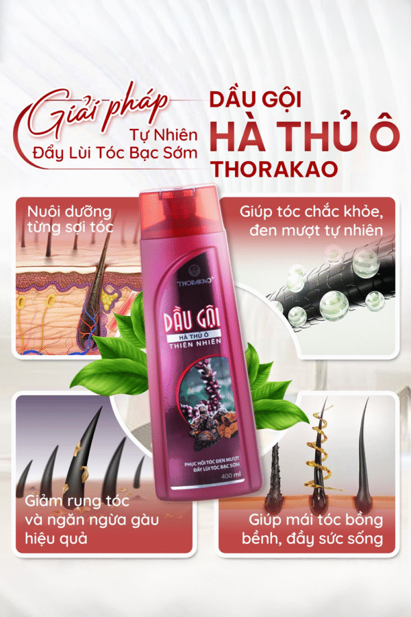 Dầu Gội Hà Thủ Ô 400ml - Hình ảnh 2
